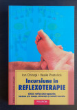 Incursiune &icirc;n reflexoterapie. Ghid reflexoterapeutic - Ion Chiruță, V. Postolică