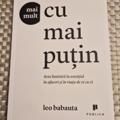 Mai mult cu mai putin arta limitarii la esential in afaceri Leo Babauta