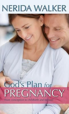 God&amp;#039;s Plan for Pregnancy: From Conception to Childbirth and Beyond foto