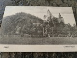 Carte postala Castelul Bran si parcul castelului, necirculata, interbelica,, Printata