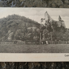 Carte postala Castelul Bran si parcul castelului, necirculata, interbelica,