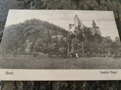 Carte postala Castelul Bran si parcul castelului, necirculata, interbelica, foto
