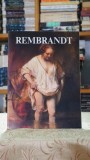 Cumpara ieftin Rembrandt - Froukje Hoekstra - Carte Editie Clasica Literatura Straina Stare Buna 1994