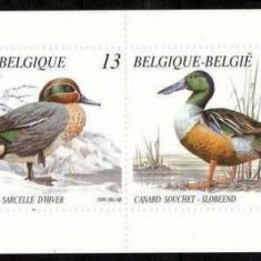 BELGIA 1989 FAUNA , PASARI , RATE CARNET NESTAMPILAT