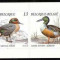 BELGIA 1989 FAUNA , PASARI , RATE CARNET NESTAMPILAT