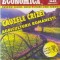 Tribuna Economica, Nr. 48/2000