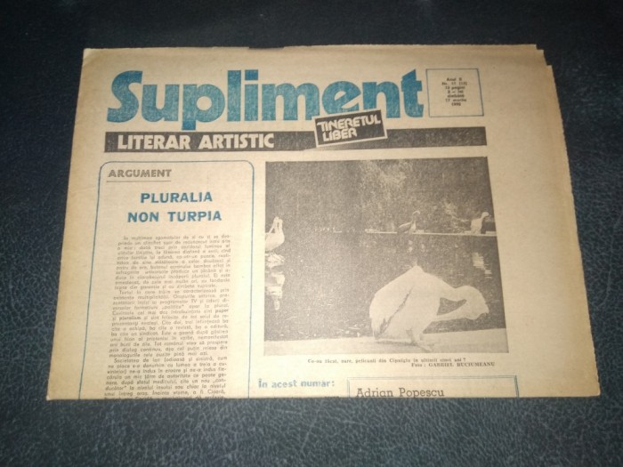 REVISTA SUPLIMENT LITERAR ARTISTIC TINERETUL LIBER 17 MARTIE 1990