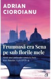 Frumoasa era Sena pe sub florile mele - Adrian Cioroianu