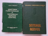 ANATOMIA FUNCTIONALA A SISTEMULUI NERVOS CENTRAL+ FIZIOLOGIA SI FIZIOPATOLOGIA