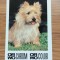 Calendar ORWO anul 1984