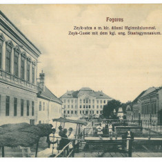 560 - FAGARAS, Brasov, Romania - old postcard - used - 1912