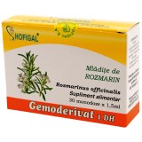 Gemoderivat mladite rosmarin 1,5ml*30mdz, Hofigal