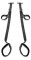 icon 5