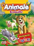 Animale fericite (Distractie in culori). Bestseller. Editia a 4-a