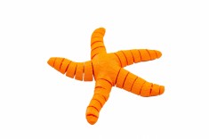 Flexi Simple Starfish - Portocaliu foto
