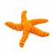 Flexi Simple Starfish - Portocaliu