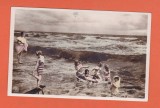 AMS @ - ORANOTYPIE FEMEI LA MARE 3, superba