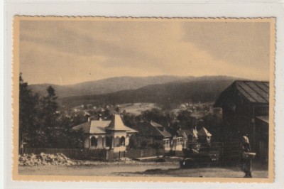 Poiana Tapului - Zamora foto