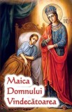 Carte Maica Domnului Vindecătoarea - Paperback - Ortodoxia