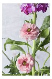 Tablou Canvas Flori de Primăvară - Artă Decorativă Rafinată, 26 x 39 cm, CMCLASS