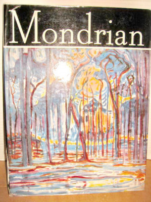 6628- Album de Arta: Mondrian 1979 cartonat gros. foto