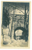 4513 - BRASOV, winter, Romania - old postcard, real PHOTO - unused, Necirculata, Fotografie