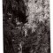 CHEILE BICAZULUI FORMAT LUNG 9X20CM RPR