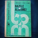 Cumpara ieftin BAZELE ALGEBREI - VOL. I - C. NASTASESCU, C. NITA, C. VRACIU