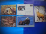 HOPCT LOT NR 471 MAMIFERE WW -FAUNA-5 CARTI POSTALE-NECIRCULATE