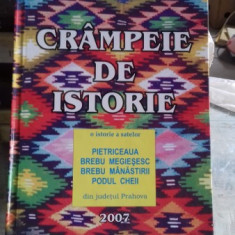 CRAMPEIE DE ISTORIE - FLORIN N. SINCA (CONTINE DEDICATIA AUTORULUI CATRE UNCHIUL SAU)