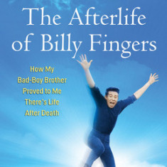 The Afterlife of Billy Fingers: How My Bad-Boy Brother Proved to Me There's Life After Death