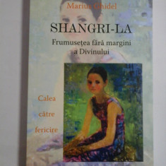 SHANGRI-LA Frumusetea fara margini a Divinului * Calea catre fericire - Marius Ghidel