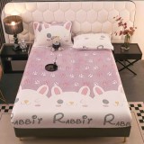 Husa de Pat Cocolino cu Elastic + 2 Fete de Perna pentru Pat Dublu - FR131