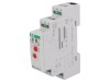 Timer Programabil DPDT 8A 24/230VAC 24VDC pentru Şină DIN