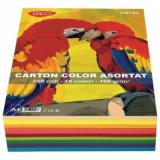 Carton A4 color asortat 10 culori, Daco