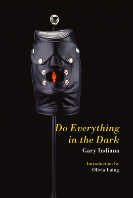Do Everything in the Dark foto