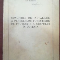 Conditiile de instalare a perdelelor forestiere de protectie a campului in Oltenia- C.I.Popescu