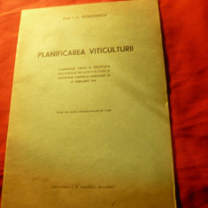 Studiu Viticultura 1940- I.C.Teodorescu- Planificarea Viticulturii ,17 pag.Ed.Bu