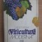 Lenz Moser - Viticultura moderna