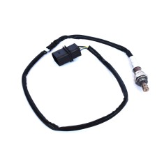 Sonda Lambda 443510 101482