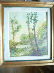 Tablou - Peisaj , ulei pe carton ,semnat Stan , Dim.= 43,5x40cm cu rama si 47,5x