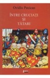 Intre cruciati si tatari - Ovidiu Pecican