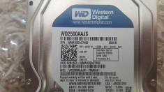 Hard disk Western Digital 250 Gb , 3.5 inch , 7200rpm , 8MB foto