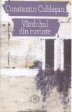 Vazduhul din cuvinte - Constantin Cublesan