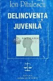 Delincventa Juvenila, Ion Pitulescu, 1995, Min. Interne, Sociologie, 372 pg, Brosata, Stare Buna