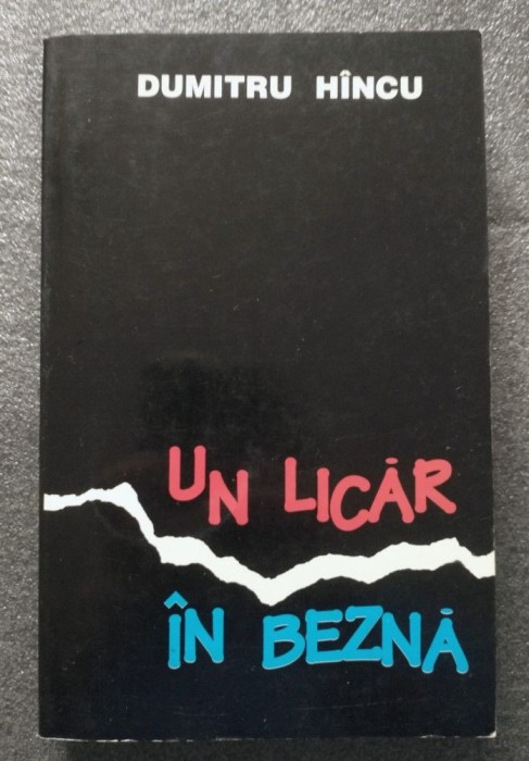 Dumitru H&icirc;ncu - Un licăr &icirc;n beznă