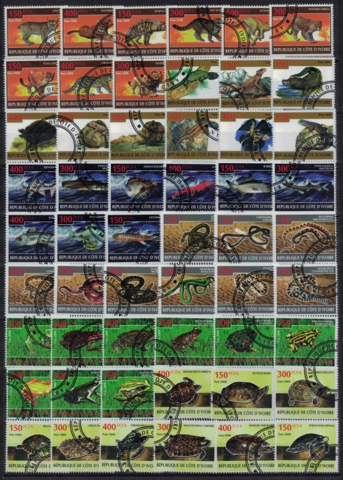 COASTA DE FILDES 2009-Animale salbatice (feline, pesti, reptile)/serii complete