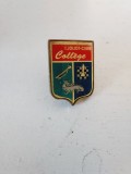 Insigna I. Joliot-CurieCollege, metal, 2.2x1cm, colectie