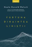 Furtuna dinaintea linistii &ndash; Neale Donald Walsch