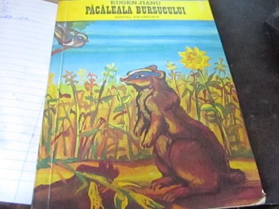 pacaleala bursucului an 1976 a2 foto